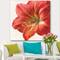 Designart - Vivid Red Amaryllis - Floral & Botanical Canvas Artwork